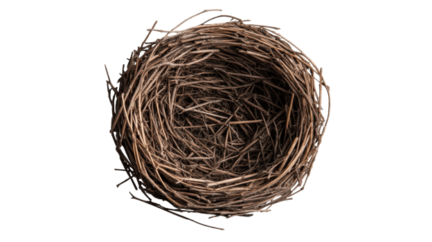 Twig Bird's Nest Isolated on Black Background, cut out transparent png