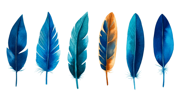 Variety of colorful feathers painted with watercolor, cut out transparent png