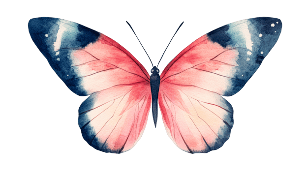 Pink blue butterfly on black background, watercolor illustration, cut out transparent png