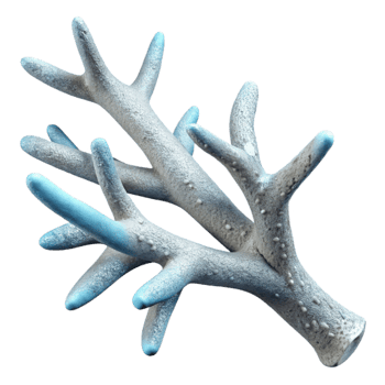 wonderful traditional Frozen Branch Cutout with Frost Detail genuine png