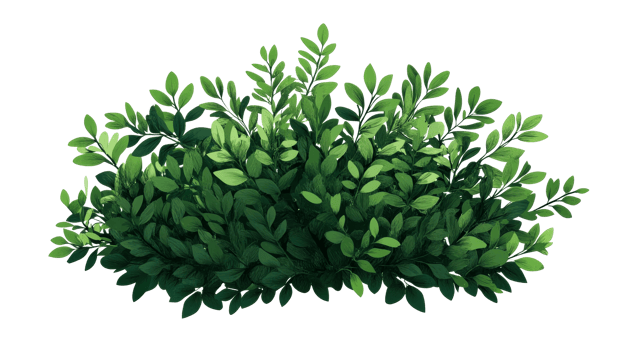 Lush green bush, foliage plant illustration, shrubbery decoration, cut out transparent png