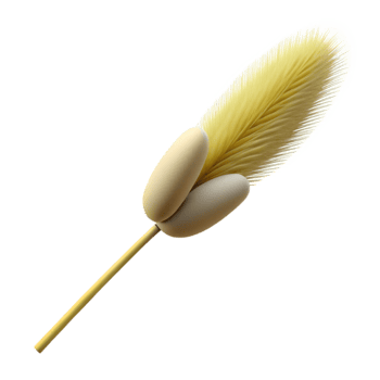 stunning classic Gently Swaying Reed Isolated on Transparent Background exclusive png