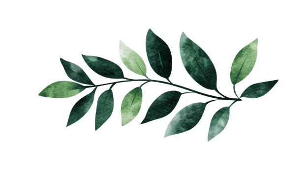 Watercolor green leaves branch, botanical illustration ,cut out transparent png