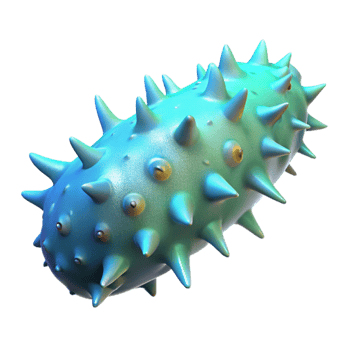 extraordinary modern Glowing Sea Cucumber Cutout with Elongated Body detailed png