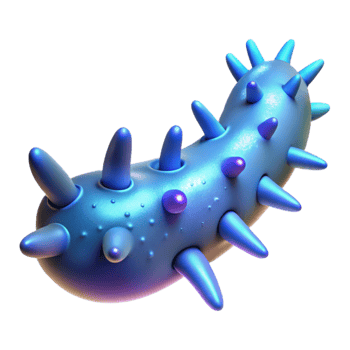 impressive minimalist Glowing Sea Cucumber Cutout with Elongated Body genuine png