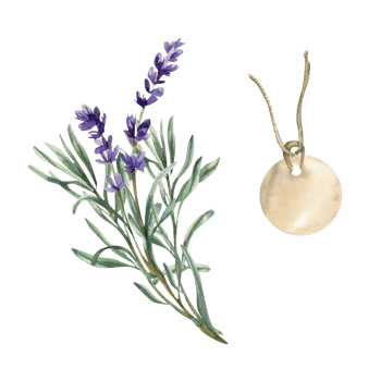 Provence floral set with lavender violet flowers branch and vintage paper tag on rope watercolor illustration. Isolated rustic style clipart for cosmetic packing ,label, logo design. Aroma herb set png
