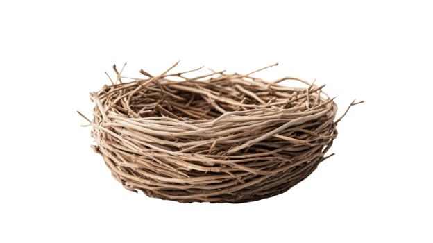 Natural bird's nest formed from branches, intertwined, beige, cut out transparent png