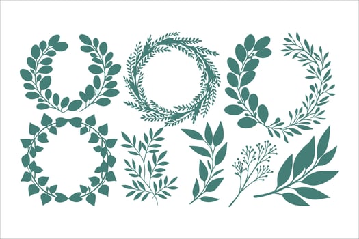 Floral laurel wreath illustration set with seamless leaf and branch patterns vector