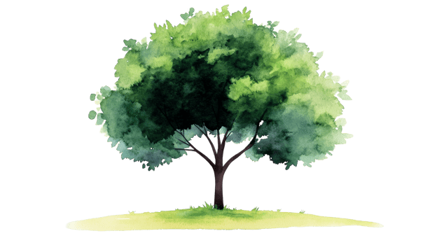 Watercolor tree with leaves on grass, isolated element, cut out transparent png
