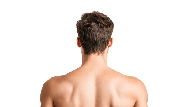 Back view of a muscular shirtless man with brown hair, cut out transparent png