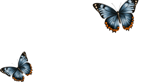 Beautiful Blue Butterflies on Black Background, cut out transparent png