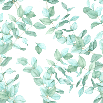 Pale green eucalyptus sprigs painted with soft watercolor strokes. This botanical foliage seamless pattern is well-suited for decorative wrapping paper, digital designs, and home textiles png