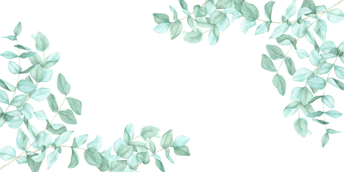 Watercolor eucalyptus branches in muted green tones decorate the corners of this botanical clipart frame. Great for printable stationery, website headers, packaging , and nature-themed invitations png