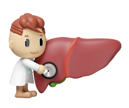 3d realistic human liver with doctor holding a stethoscope isolated. check liver health, health love, world hepatitis day concept, 3d illustration render png