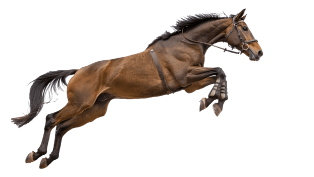 A horse is jumping in the air png