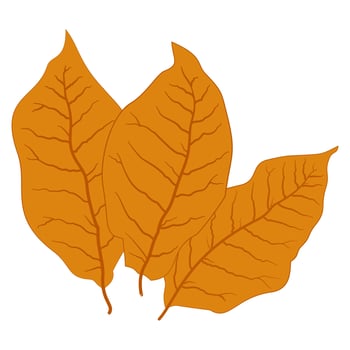 tobacco leaf logo ecology nature element icon vector
