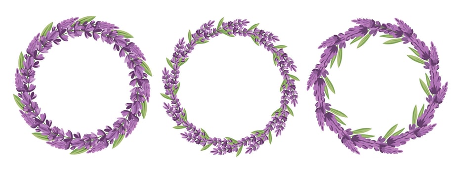 Set of lavender wreaths on a white background. Collection of floral round frames. Illustration for a wedding invitation, postcard, logo. vector