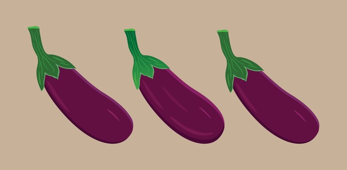 Three purple color Eggplant testy vegetable art vector