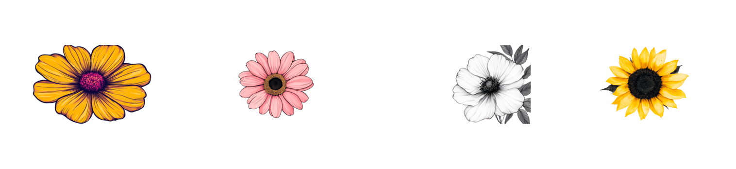 Variety of flowers, sunflower, daisy, anemone blossom, cut out transparent png