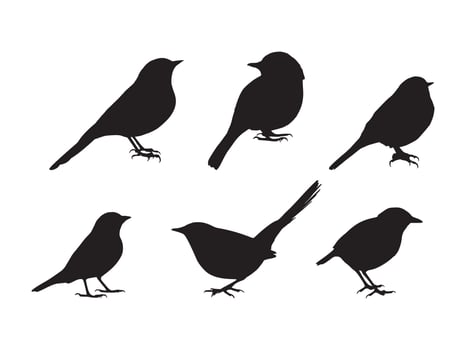 Small Bird Silhouette Design vector
