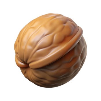 spectacular distinguished Single walnut in shell with Transparent Background png