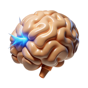 reflective vibrant A realistic human brain, pulsing with energy with Transparent Background high quality png