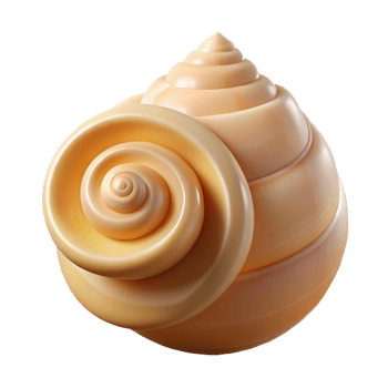 splendid distinguished Photorealistic, isolated cutout of a single, seashell, spiral shaped with Transparent Background png