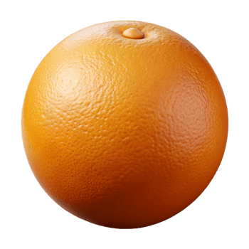 alluring victorian Photorealistic, ultra-detailed isolated cutout of a single orange Isolated cutout with Transparent Background crisp png