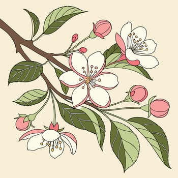 Illustrated floral pattern of apple blossoms, green sprigs and tiny buds, fresh growth theme vector