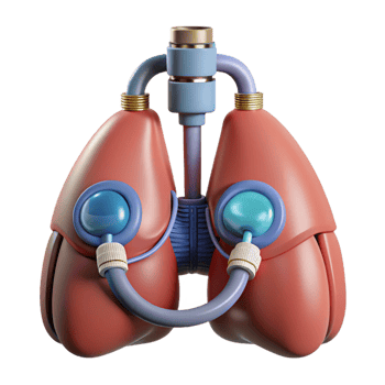 exemplary creative Hyper-specific, professional render of a biomechanical lung with filtration systems and oxygen tanks, isolated cutout with Transparent Background detailed png