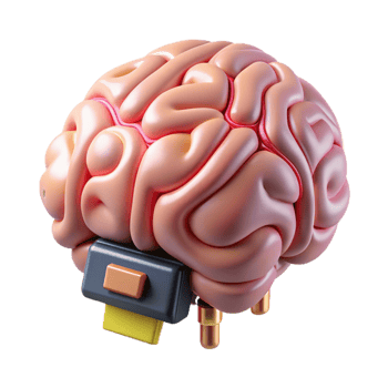 dramatic mysterious artistic Professional render, hyper-specific isolated cutout of a biomechanical brain with external processing units with Transparent Background professional png