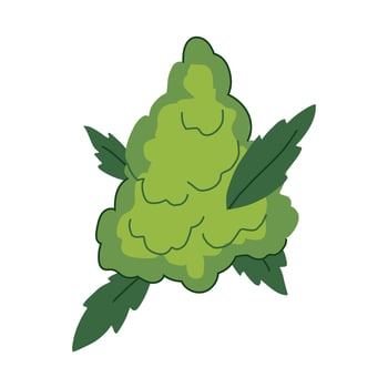 terpenes weed bud cartoon vector