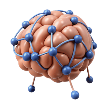 captivating coveted A stylized brain with interconnected neural pathways with Transparent Background png