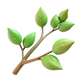 pristine ethereal vintage Professional render ultra-detailed isolated cutout of a single branch with budding leaves, with Transparent Background top-tier png