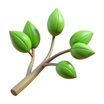 exquisite rare Professional render ultra-detailed isolated cutout of a single branch with budding leaves, with Transparent Background png