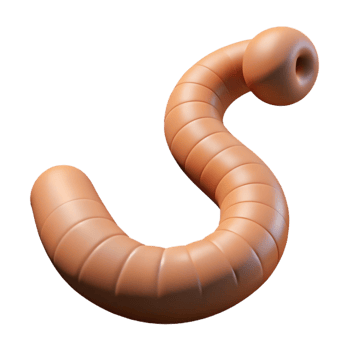 pristine distinctive Professional render hyper-specific image of a single earthworm, segmented body, with Transparent Background png