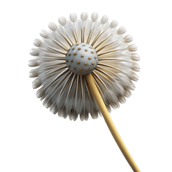 enchanting nordic Professional render, photorealistic, isolated cutout of a single, perfectly formed dandelion seedhead, ready to disperse with Transparent Background artisan png
