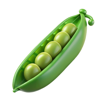 splendid notable Photorealistic, ultra-detailed, professional render of a single, fresh green pea pod with partially visible peas inside Isolated cutout with Transparent Background png