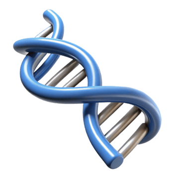 striking nordic DNA double helix structure with Transparent Background masterfully captured png
