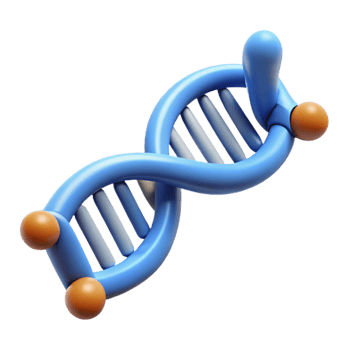 hypnotic mysterious bohemian Hyper-specific professional render, isolated cutout, single DNA molecule, scientifically accurate with Transparent Background handcrafted png