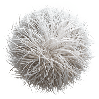elegant traditional Shining White Strands Isolated in Darkness exclusive png