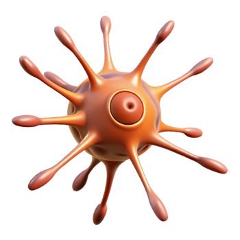 hypnotic classic Hyper-specific professional render, isolated cutout, single neuron cell, scientifically accurate with Transparent Background detailed png