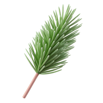serene traditional Single Pine Needle Transparent Background Isolated original png