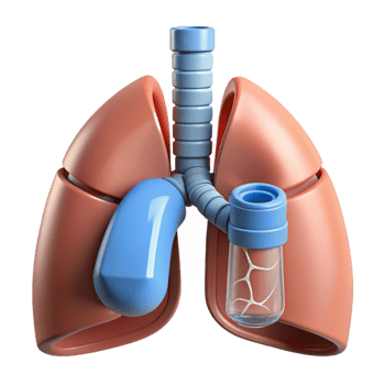 memorable elegant Ultra-detailed, isolated cutout, biomechanical lung with filtration system with Transparent Background high resolution png