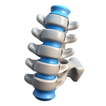 immaculate artistic Concept art style, hyper-specific render of a biomechanical spine segment with hydraulics, isolated cutout with Transparent Background perfect clarity png