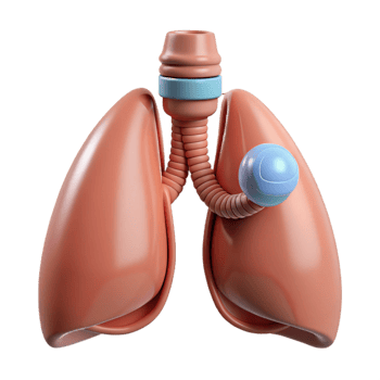 inspired art deco Ultra-detailed, isolated cutout, biomechanical lung with filtration system with Transparent Background professional png