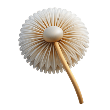 bold enchanting Single dandelion seed head with Transparent Background flawless png