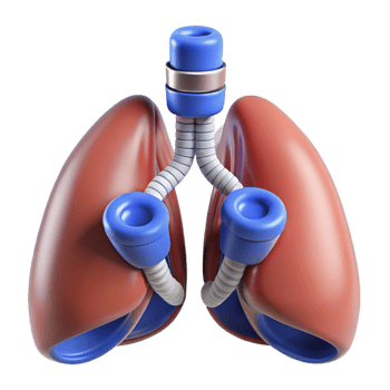 unparalleled art deco Hyper-specific, professional render of a biomechanical lung with filtration membranes and oxygen tanks Isolated cutout Photorealistic with Transparent Background museum quality png