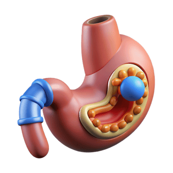 iconic avant-garde Professional render, concept art style, biomechanical stomach with integrated nutrient absorption system, isolated cutout with Transparent Background exclusive png