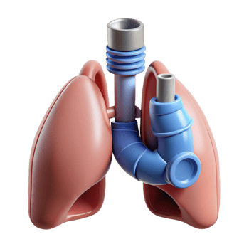 dramatic remarkable Hyper-specific, concept art style, isolated cutout of a biomechanical lung with integrated filtration system with Transparent Background png